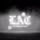 Discovery splash banner for 『LAC』 Discord server