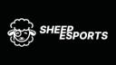 Discovery splash banner for Sheepcord Discord server