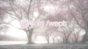 Discovery splash banner for ᵕᵕ / @wept (' ⩊ ') ֪ Discord server