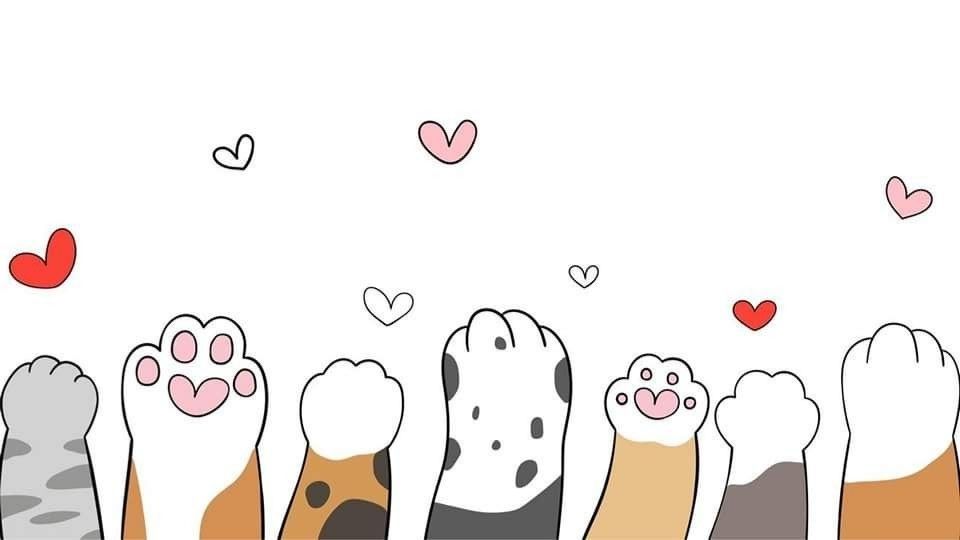 Discovery splash banner for (⇀‸↼‶)🐾 cute silly cats .ᐟ.ᐟ +100 guild tags ♡ emotes ♡ active chat & vc ♡ roblox ♡ anime ♡ gacha Discord server