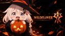 Discovery splash banner for Wildflover Discord server
