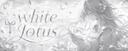 Discovery splash banner for White Lotus Discord server