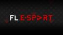 Discovery splash banner for FL E-sport Discord server