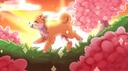 Discovery splash banner for Shiba ♡ サーバー     Social & Anime Discord server