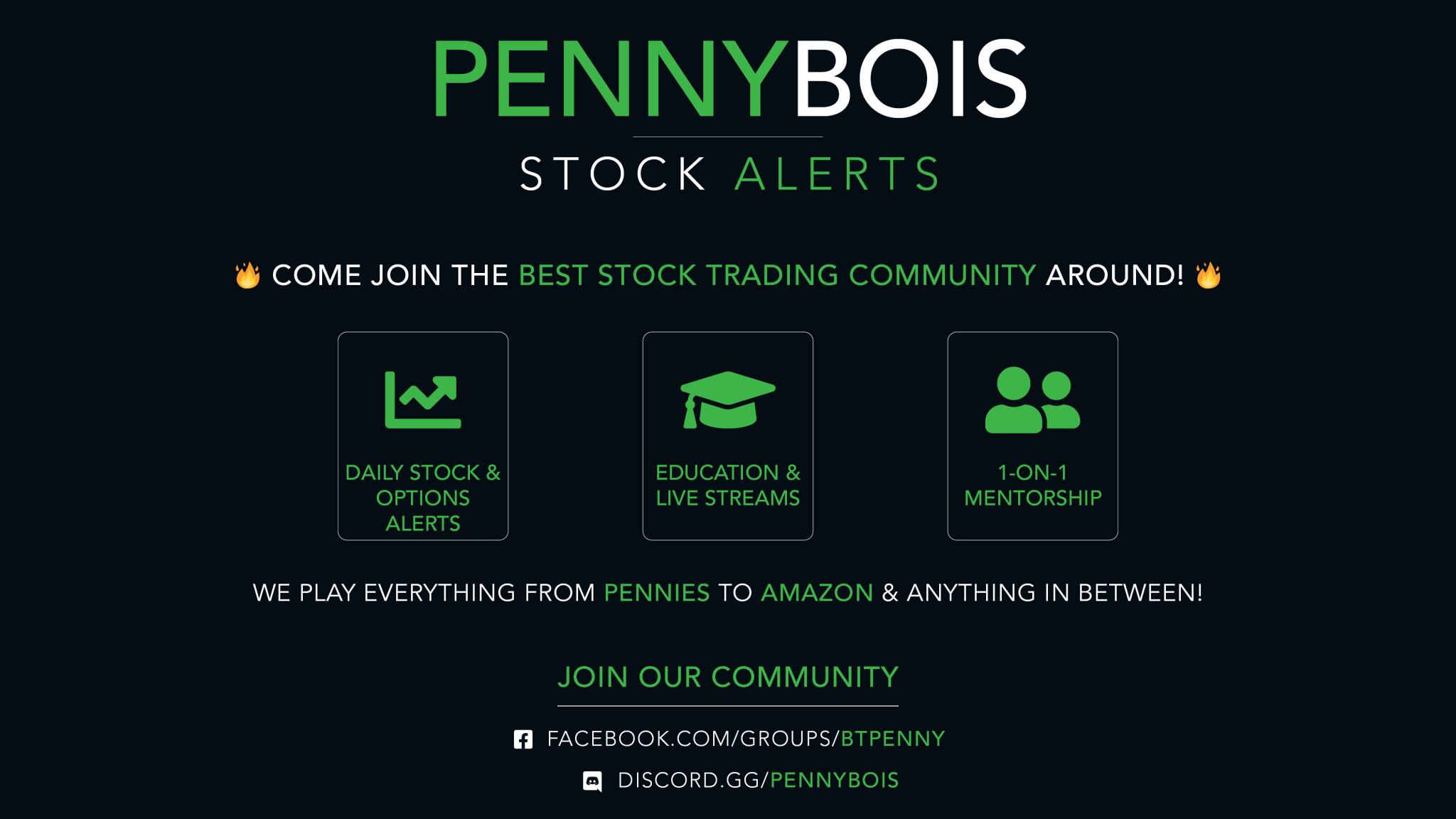 Discovery splash banner for Pennybois Stock Alerts | Day Trading Discord Discord server
