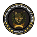 Discovery icon for BreachPoint | BRM5 Discord server