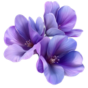Discovery icon for DTI Petals˚˖𓍢ִ໋❀ Discord server