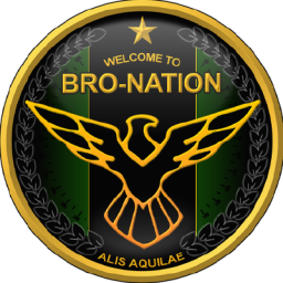 Discovery icon for BRO-NATION Discord server