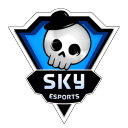 Discovery icon for Skyesports Gaming Discord server